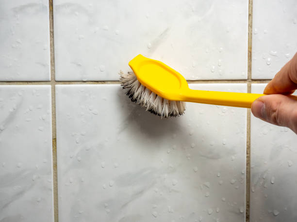 Best Best Mold Removal Companies  in Pleasant Run, OH