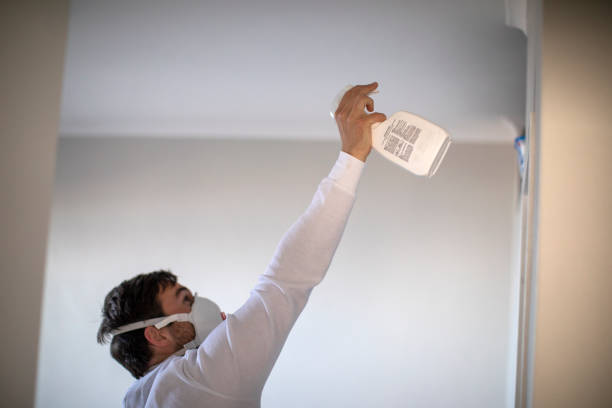 Best Mold Cleaning Services  in Pleasant Run, OH