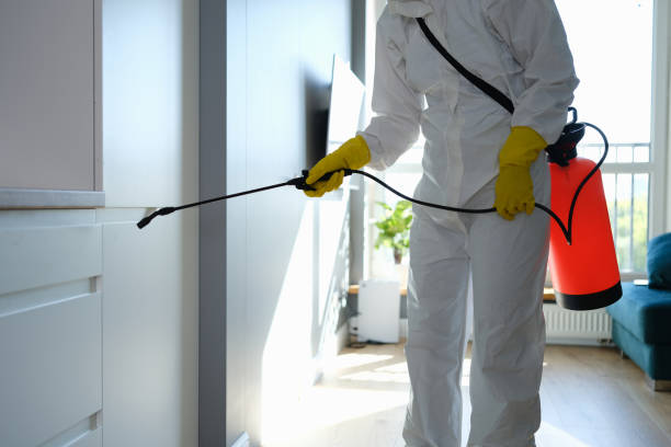 Best Crawl Space Mold Removal  in Pleasant Run, OH