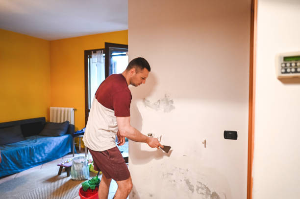Best Mold Removal Process  in Pleasant Run, OH